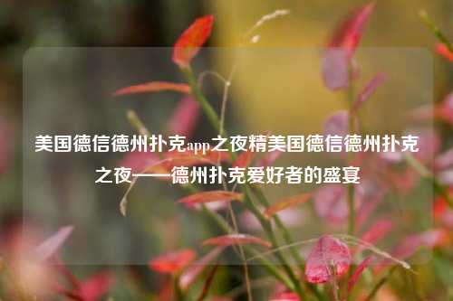 美国德信德州扑克app之夜精美国德信德州扑克之夜——德州扑克爱好者的盛宴