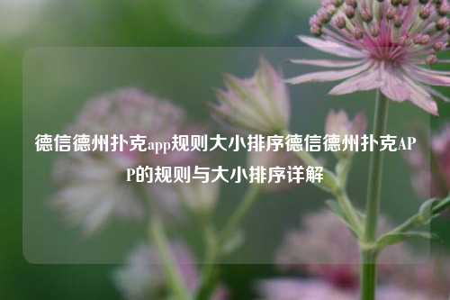德信德州扑克app规则大小排序德信德州扑克APP的规则与大小排序详解