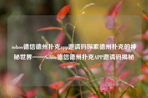 sohoo德信德州扑克app邀请码探索德州扑克的神秘世界——Sohoo德信德州扑克APP邀请码揭秘