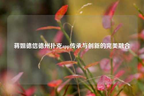 蒋姐德信德州扑克app传承与创新的完美融合