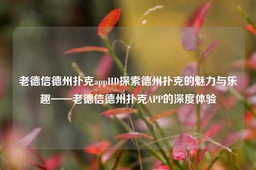 老德信德州扑克appHD探索德州扑克的魅力与乐趣——老德信德州扑克APP的深度体验