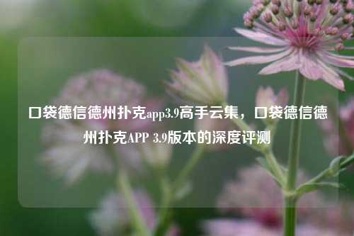 口袋德信德州扑克app3.9高手云集，口袋德信德州扑克APP 3.9版本的深度评测