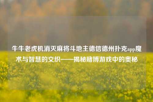 牛牛老虎机消灭麻将斗地主德信德州扑克app魔术与智慧的交织——揭秘赌博游戏中的奥秘