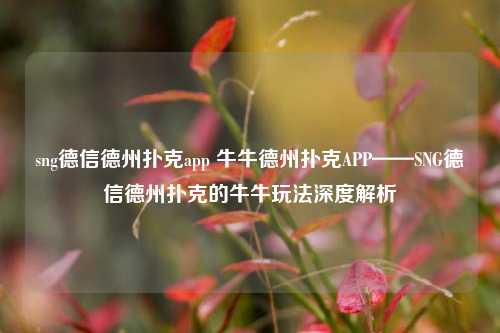 sng德信德州扑克app 牛牛德州扑克APP——SNG德信德州扑克的牛牛玩法深度解析