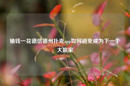 输钱一花德信德州扑克app如何避免成为下一个大赢家