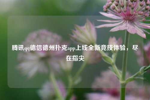 腾讯qq德信德州扑克app上线全新竞技体验，尽在指尖