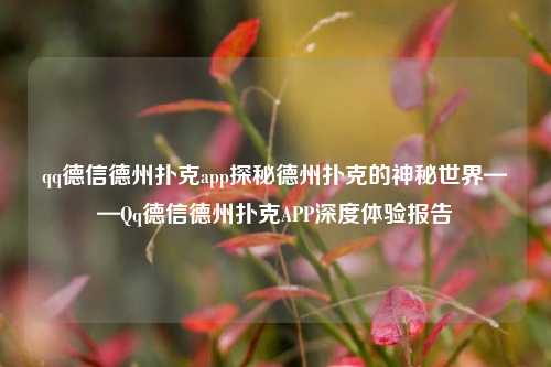 qq德信德州扑克app探秘德州扑克的神秘世界——Qq德信德州扑克APP深度体验报告