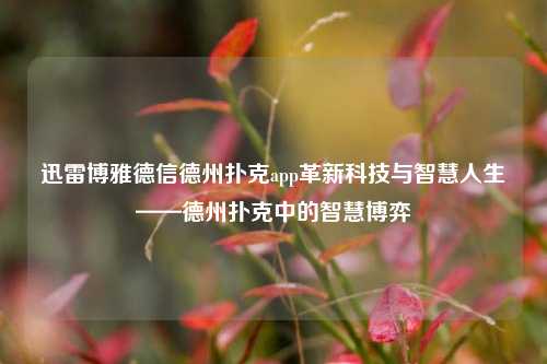 迅雷博雅德信德州扑克app革新科技与智慧人生——德州扑克中的智慧博弈