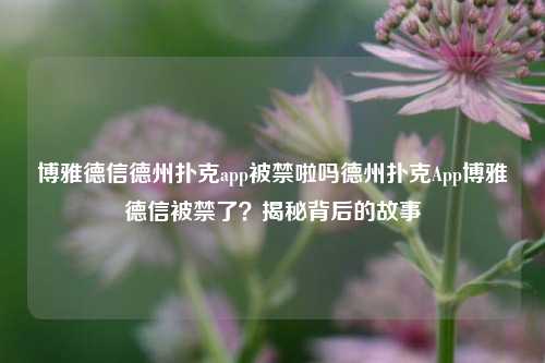 博雅德信德州扑克app被禁啦吗德州扑克App博雅德信被禁了？揭秘背后的故事