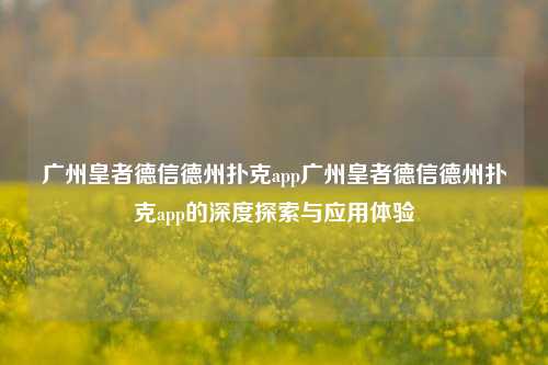 广州皇者德信德州扑克app广州皇者德信德州扑克app的深度探索与应用体验
