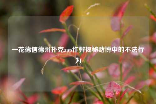 一花德信德州扑克app作弊揭秘赌博中的不法行为