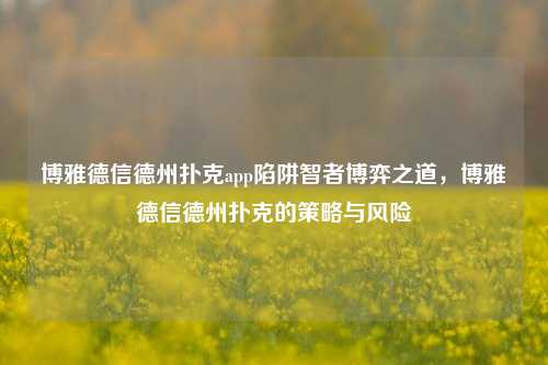 博雅德信德州扑克app陷阱智者博弈之道，博雅德信德州扑克的策略与风险