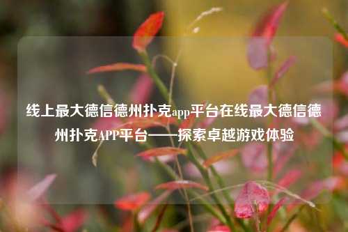 线上最大德信德州扑克app平台在线最大德信德州扑克APP平台——探索卓越游戏体验