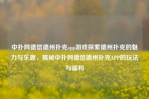 中扑网德信德州扑克app游戏探索德州扑克的魅力与乐趣，揭秘中扑网德信德州扑克APP的玩法与福利