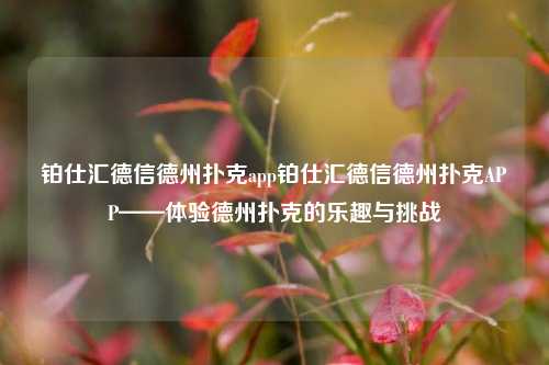 铂仕汇德信德州扑克app铂仕汇德信德州扑克APP——体验德州扑克的乐趣与挑战