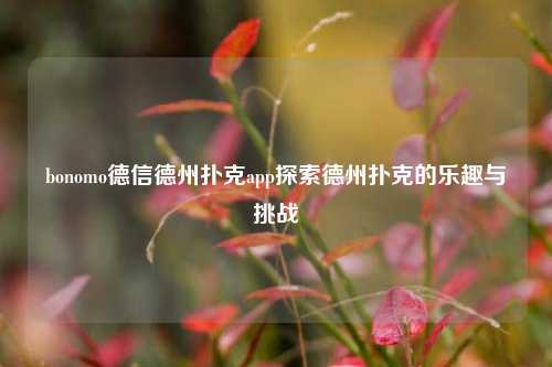 bonomo德信德州扑克app探索德州扑克的乐趣与挑战