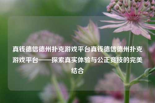 真钱德信德州扑克游戏平台真钱德信德州扑克游戏平台——探索真实体验与公正竞技的完美结合