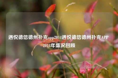 遇悦德信德州扑克app2014遇悦德信德州扑克APP 2014年盛况回顾