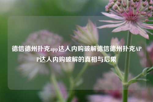 德信德州扑克app达人内购破解德信德州扑克APP达人内购破解的真相与后果