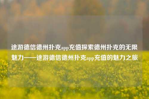 途游德信德州扑克app充值探索德州扑克的无限魅力——途游德信德州扑克app充值的魅力之旅
