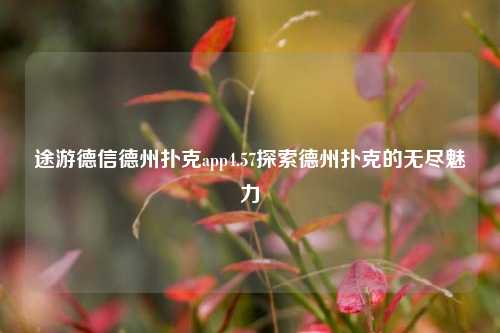 途游德信德州扑克app4.57探索德州扑克的无尽魅力