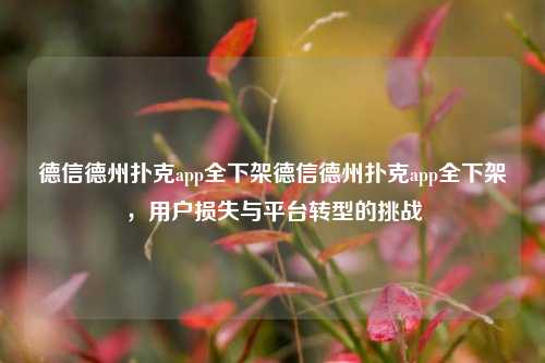 德信德州扑克app全下架德信德州扑克app全下架，用户损失与平台转型的挑战