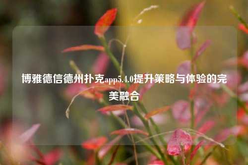 博雅德信德州扑克app5.4.0提升策略与体验的完美融合