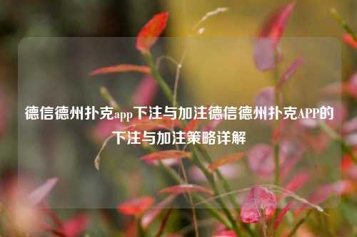 德信德州扑克app下注与加注德信德州扑克APP的下注与加注策略详解