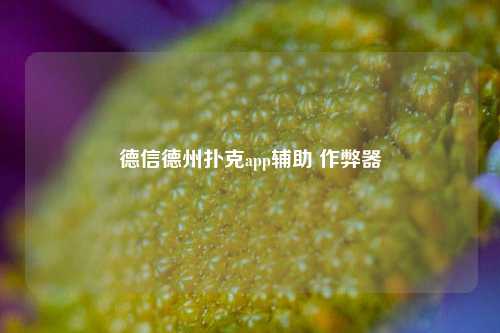德信德州扑克app辅助 作弊器
