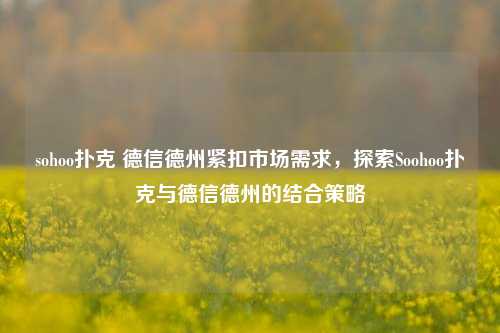 sohoo扑克 德信德州紧扣市场需求，探索Soohoo扑克与德信德州的结合策略