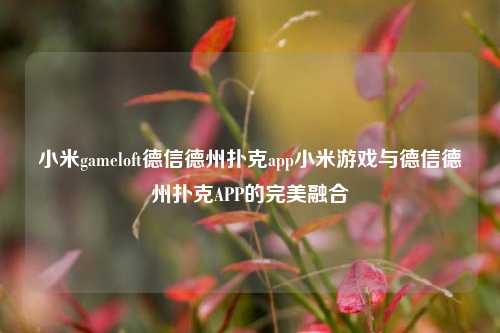 小米gameloft德信德州扑克app小米游戏与德信德州扑克APP的完美融合