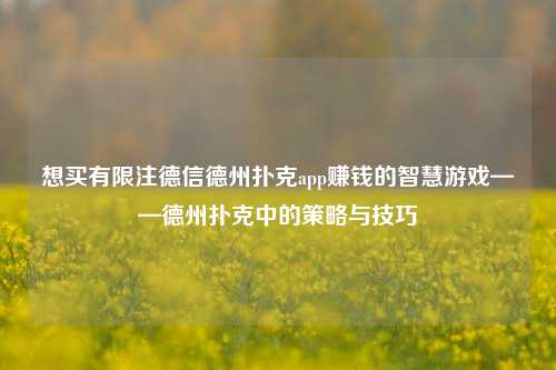 想买有限注德信德州扑克app赚钱的智慧游戏——德州扑克中的策略与技巧