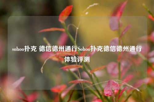sohoo扑克 德信德州通行Sohoo扑克德信德州通行体验评测