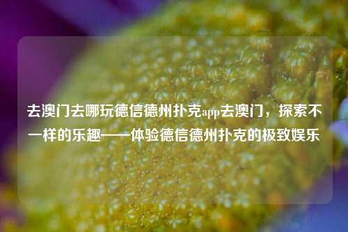 去澳门去哪玩德信德州扑克app去澳门，探索不一样的乐趣——体验德信德州扑克的极致娱乐
