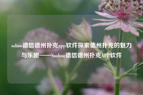 sohoo德信德州扑克app软件探索德州扑克的魅力与乐趣——Soohoo德信德州扑克APP软件