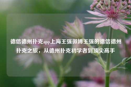 德信德州扑克app上海王强微博王强的德信德州扑克之旅，从德州扑克初学者到顶尖高手
