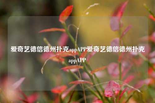 爱奇艺德信德州扑克appAPP爱奇艺德信德州扑克appAPP