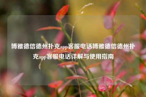 博雅德信德州扑克app客服电话博雅德信德州扑克app客服电话详解与使用指南
