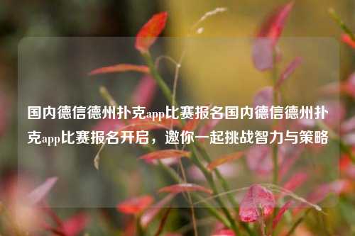 国内德信德州扑克app比赛报名国内德信德州扑克app比赛报名开启，邀你一起挑战智力与策略