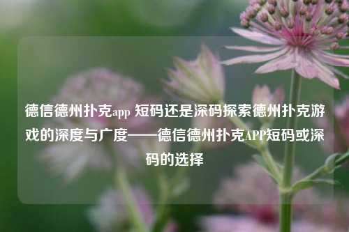 德信德州扑克app 短码还是深码探索德州扑克游戏的深度与广度——德信德州扑克APP短码或深码的选择