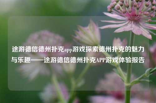 途游德信德州扑克app游戏探索德州扑克的魅力与乐趣——途游德信德州扑克APP游戏体验报告