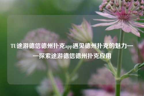TU途游德信德州扑克app遇见德州扑克的魅力——探索途游德信德州扑克应用