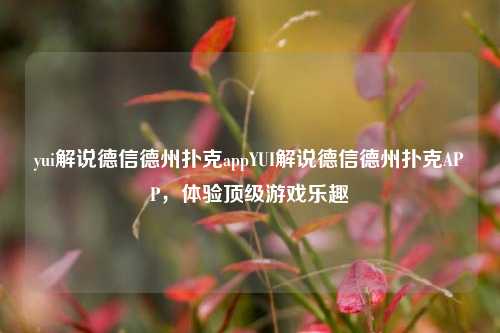 yui解说德信德州扑克appYUI解说德信德州扑克APP，体验顶级游戏乐趣