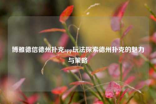 博雅德信德州扑克app玩法探索德州扑克的魅力与策略