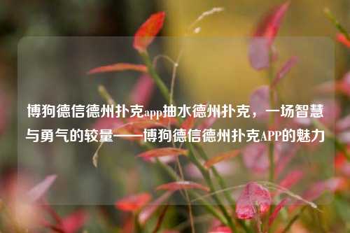博狗德信德州扑克app抽水德州扑克，一场智慧与勇气的较量——博狗德信德州扑克APP的魅力