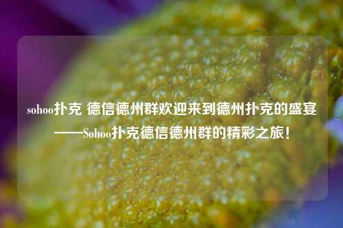 sohoo扑克 德信德州群欢迎来到德州扑克的盛宴——Sohoo扑克德信德州群的精彩之旅！