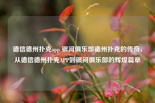 德信德州扑克app 银河俱乐部德州扑克的传奇，从德信德州扑克APP到银河俱乐部的辉煌篇章