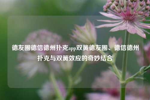 德友圈德信德州扑克app双簧德友圈、德信德州扑克与双簧效应的奇妙结合