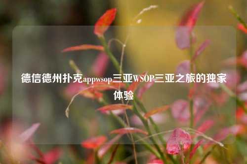 德信德州扑克appwsop三亚WSOP三亚之旅的独家体验