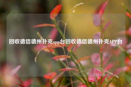 回收德信德州扑克app台回收德信德州扑克APP台
